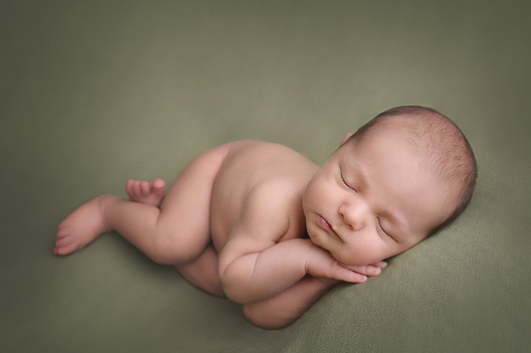 red deer newborn photos