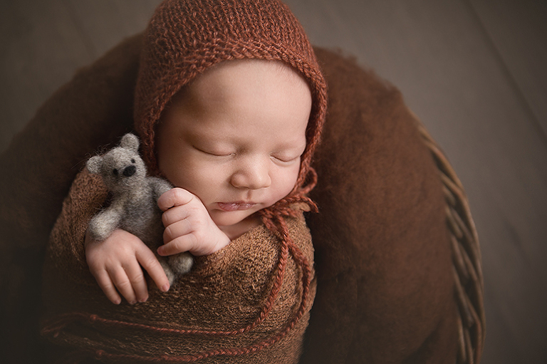 red deer newborn photos