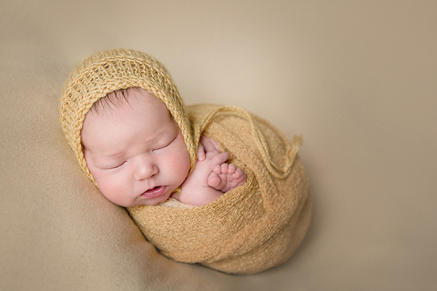 red deer newborn photos