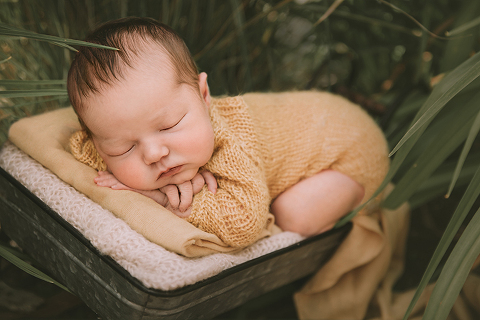 red deer baby photographer, gray baby, newborn photos, outdoor newborn photo